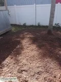 STUMP GRINDING and Surface Roots Removal by Brad Frederick s LLC