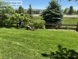 Cheerful Lawn Mowing Duo