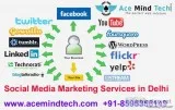 Do You Need Social Media Marketing Services in Delhi Social Medi