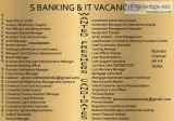 Sales Marketing Jobs In Banks