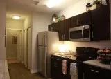 Conveniently Renovated --- Beautiful 1 Bed  1 Bath
