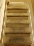 Summer Carpet Cleaning Discount