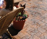 Get State-Of-The-Art Patio Paver Supplies