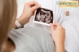 Get Pregnancy Test Done at Dr Lal PathLabs