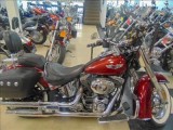 2009 Harley FLSTN Softail Deluxe