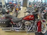 2009 Harley FLSTN Softail Deluxe
