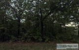 0.17 Acres for Sale in Cherokee Village AR