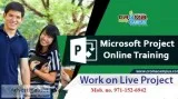 Microsoft Project Online Training