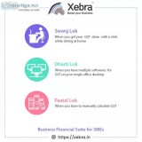 Xebra-business financial suite for SME