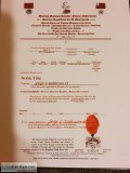 Andersons Phebus Trust Allodial Aboriginal Paramount Clear Perfe