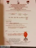 Andersons Phebus Trust Allodial Aboriginal Paramount Clear Perfe