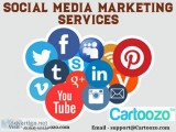 Social Media Marketing Services At Cartoozo