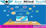 Get Top 5 Website Development in Delhi Website development Exper