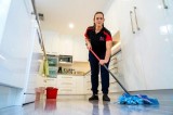 Carpet cleaning adelaide  Thelocalguyscleaning .com.au