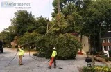 AKA Tree Service Offers 247 Emergency Tree Removal in Atlanta