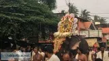 Aanayoottu - A Festival in Kerala to Feed the Humble Beasts