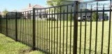 Fence Company Denver
