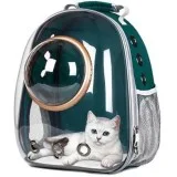 Transparent Pet Carrier