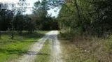 1.02 Acres for Sale in Pomona Park FL