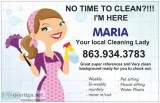 SANITIZING CLEANING 