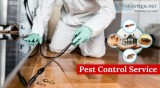 Pest Control Services in delhi NCR  Residential Pest Control Ser