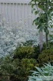Garden Designer Melbourne