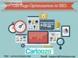On Page Optimisation Service At Cartoozo