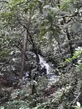 Waterfall Property on Silver Falls Cleveland