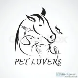 Pet Sitter available