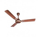 Buy Polar High and low cost ceiling fans at best prices