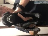 Free puppies