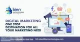 Website Designing and Marketing Services in Noida