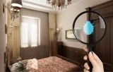 Best Bed Bug Heat Treatment In Michigan