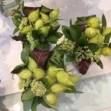 Antaeus Flowers - Corporate Flowers in Melbourne