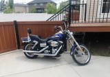 2007 Harley Davidson Softail Motorcycle For Sale