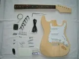 Build Your Own Electric Guitar &ndash Electric Guitar City
