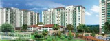 Godrej Forest Grove Connect with Nature By Taking A Stroll Outsi