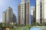 Book 2 and 3 BHK Lavish Apartments in ACE Parkway  9250001995