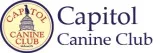 Best Dog Daycare Services in McLean Virginia