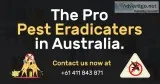 Best Pest Control Service in the Town