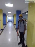 Pest control