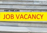 Work from home for freshers