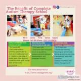 Complete autism therapy school ( c-a-t school )