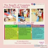 Complete autism therapy school ( c-a-t school )