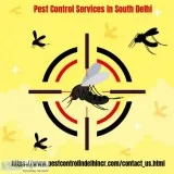 Pest Control Services In South Delhi