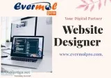 website designer in delhi