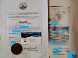 U.S. and FOREIGN PASSPORT RUSH APOSTILLE SERVICES (4-5 Business 