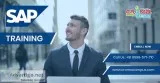 Online SAP Training
