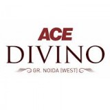 Ace divino floor plans