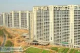 4 BHK in DLF The Magnolias for Rent  Dlf The Magnolias on Golf C